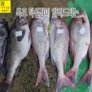 4월 17일, 우럭회, 참돔회, 반건조(감성돔,참농어), 손질 참조기, 통치, 가자미, 서대, 눈볼대, 참양태, 간재미, 아귀, 냉동생 이미지