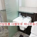 존스빌