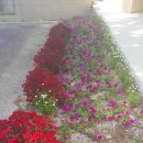 오산보건지소 이미지