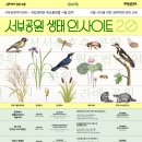 프로젝트시민 | 환경 포스터 제작, 공공기관 프로젝트 작업 후기