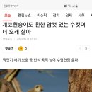 하니갤러리 이미지