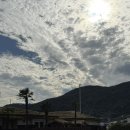 마리나장 | 통영 숙소 추천 이국적인 “통영 한산 마리나 호텔&amp;리조트” 내돈내산 리얼 후기