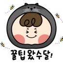 더브룸 이미지