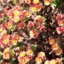 계명실업 이미지