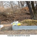 순국열사 추모길 이미지