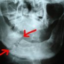 상해행정사 이미지