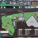직동 Daum카페