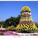 제11회 드림파크 국화축제-1편 이미지