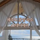 스테이체리 이미지