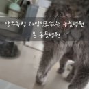 이서동물병원 | 양주옥정 과잉진료없는 동물병원 온 동물병원(내돈내산)