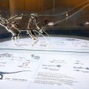 비봉화석지 이미지