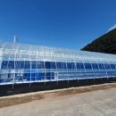 수직의 정원 이미지