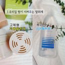집안 냄새 고민 해결! 고체형 액체형 실내탈취제 24시간 향기 유지 라브아