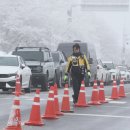 주정차-33 이미지