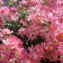 점촌중학교 이미지