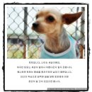미미토토 이미지