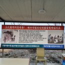 함평신흥해수찜 이미지