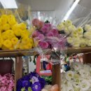 대전도솔유치원 이미지