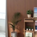 스튜디오하운
