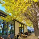 김가네 장어구이 매운탕 이미지