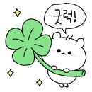 홀릭식당 이미지