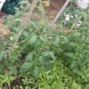 임천농장 이미지