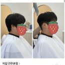 미샵헤어 - 서구 | 전주 미용실 추천, 전북대 미샵 전주 남자펌 후기