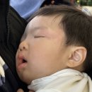 꽃노리아틀리에속초 이미지