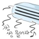 카페윰