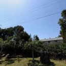 김앤김공인중개사사무소 이미지