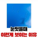 눈플러스안경원 네이버블로그