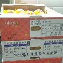 과일부심 이미지