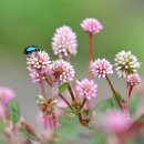 수암옥사우나 이미지