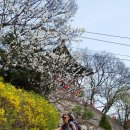 고천리마을회관 이미지