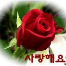 사랑 이미지