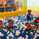 정진용농장 Daum카페