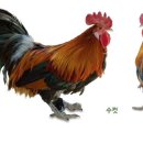 국립축산과학원 가축유전자원센터 이미지