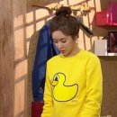팬콧