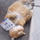 인성 이미지