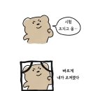 [세종] 엘마노스터디카페 시험기간 이용 후기 장단점!!