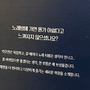 미전 | 국민대 미전, 과기대 졸전 감상 후기