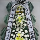 세무법인세진 이미지