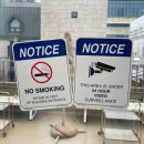 오캄 건대 디저트 편안한 분위기 좋은 카페 <b>오캄</b>