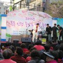 신정동 벗꽃 축제(2011. 4.19) 이미지