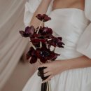 들꽃연가 | [W] 흰 장미 vs 카라 vs 들꽃… 촬영용 웨딩 부케 고민 중🌷