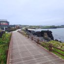 숨비기낭 이미지