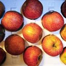 신흥농장 이미지