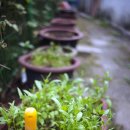 용산-198 이미지