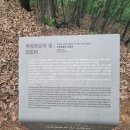 녹운탄을 찾아서 3편 (feat. 조선시대 사대부의 무덤 백서, 주변 맛집)