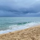 블리비의원 이미지